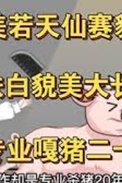 猪猪女孩日记