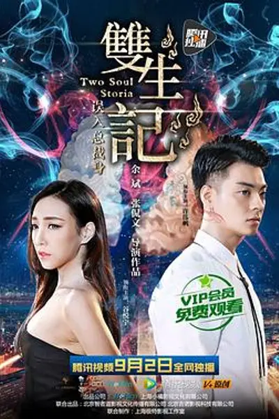 双生记之误入总裁身