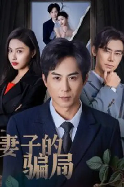 妻子的骗局