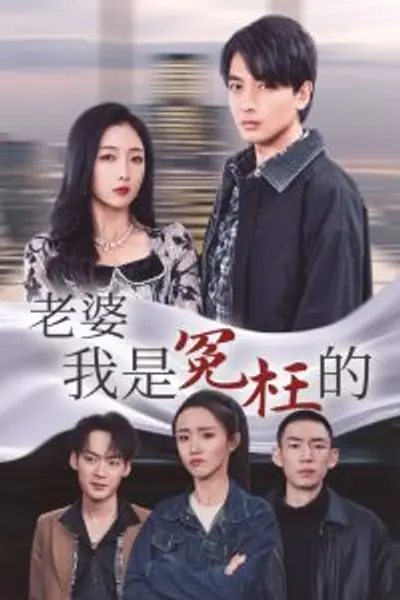 老婆我是冤枉的