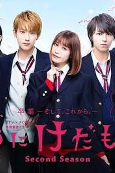 花予野兽 第二季