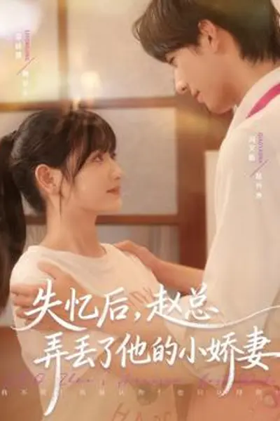 失忆后，赵总弄丢了他的小娇妻