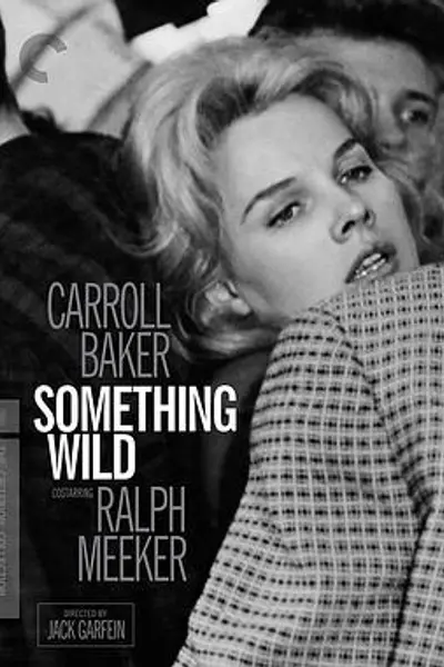 断肠孤凤