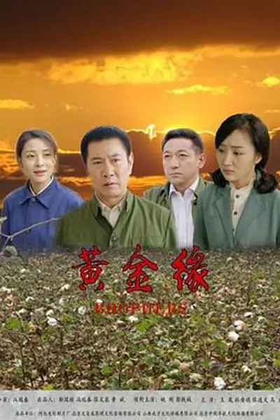 黄金缘