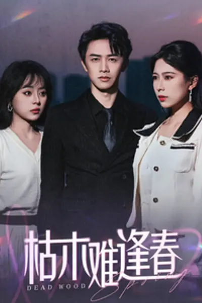 枯木难逢春