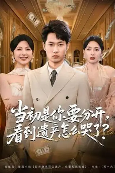 当初是你要分开,看到遗产怎么哭了?