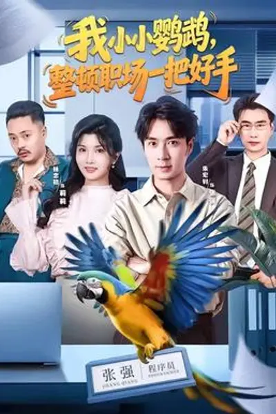 我小小鹦鹉,整顿职场一把好手