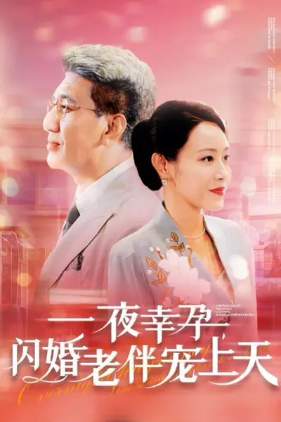 一夜幸孕,闪婚老伴宠上天