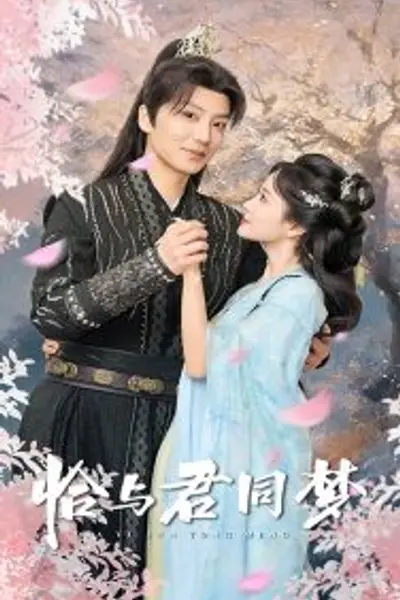 恰与君同梦