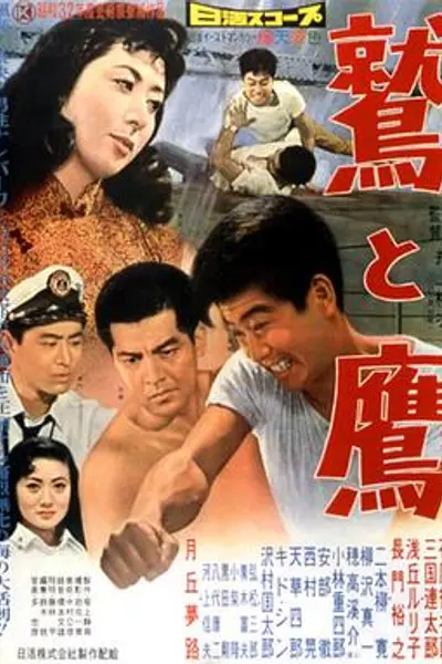 鹫与鹰
