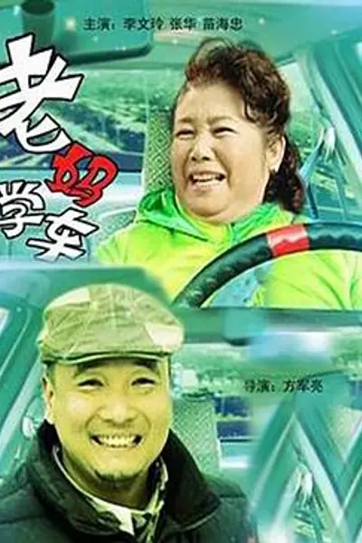 老妈学车