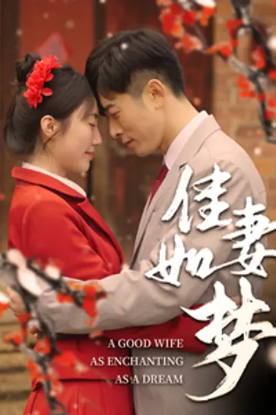 佳妻如梦