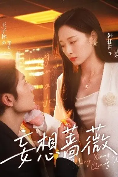 妄想蔷薇