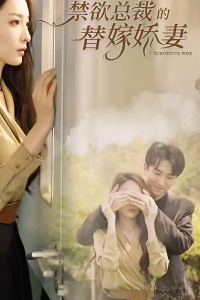 禁欲总裁的替嫁娇妻闪婚试爱，暮总的天价影后
