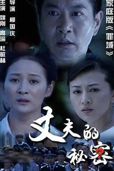 丈夫的秘密2012