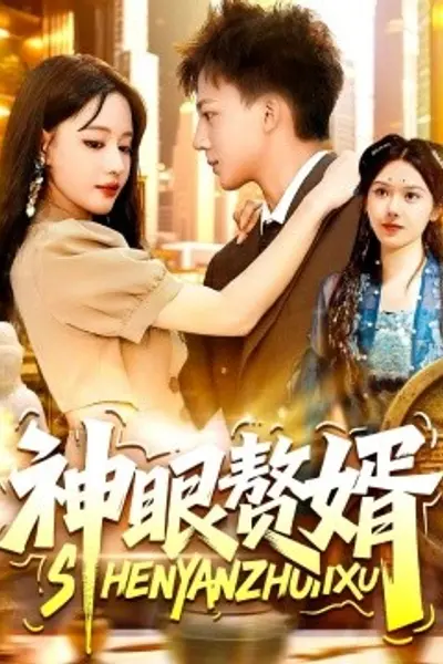 神眼赘婿
