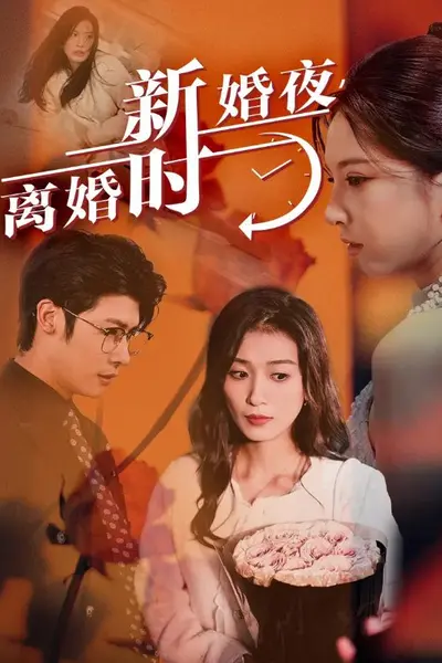 新婚夜,离婚时