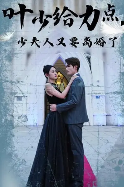 叶少给点力，少夫人又要离婚了