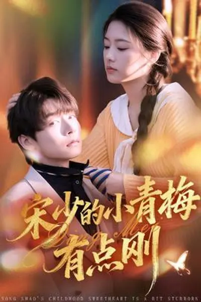 宋少的小青梅有点刚