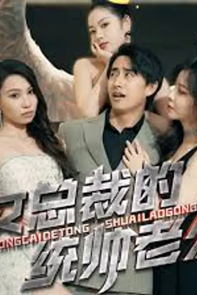 女总裁的统帅老公