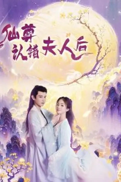 仙尊认错夫人后