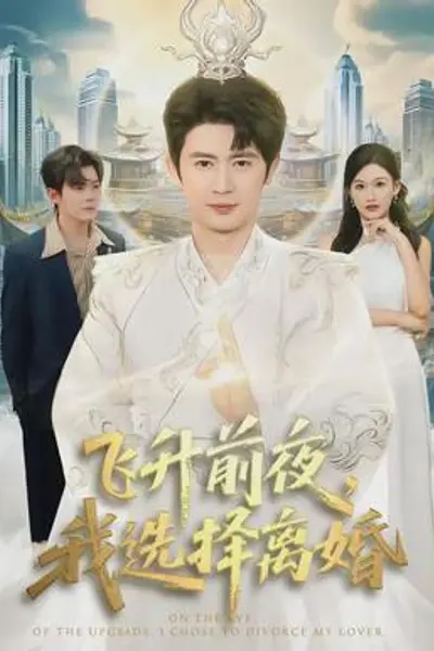 飞升前夜,我选择离婚