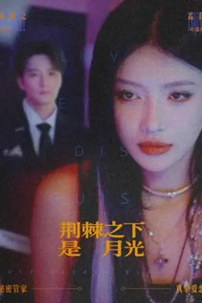荆棘之下是月光
