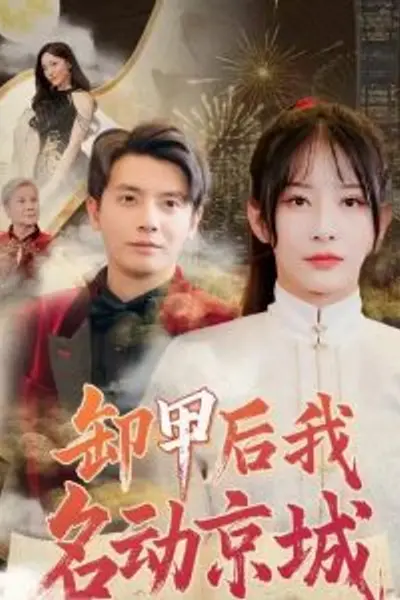 卸甲后我名动京城