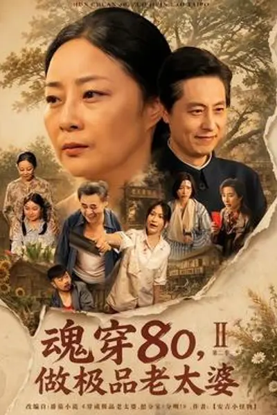 魂穿80,做极品老太婆第二季