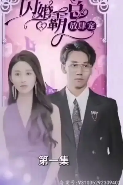 闪婚霸总放肆宠