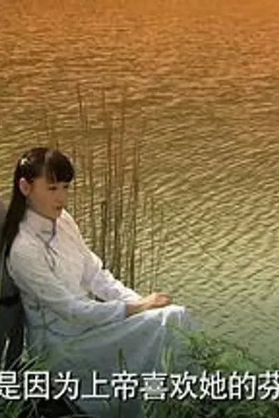 一诺今生
