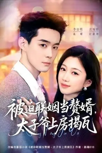 被迫联姻当赘婿,太子爷上房揭瓦