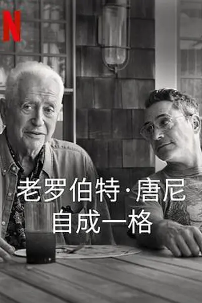 罗伯特·唐尼：自成一格