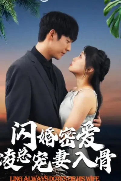 闪婚蜜爱凌总宠妻入骨闪婚老公轻点宠一不小心爱上你