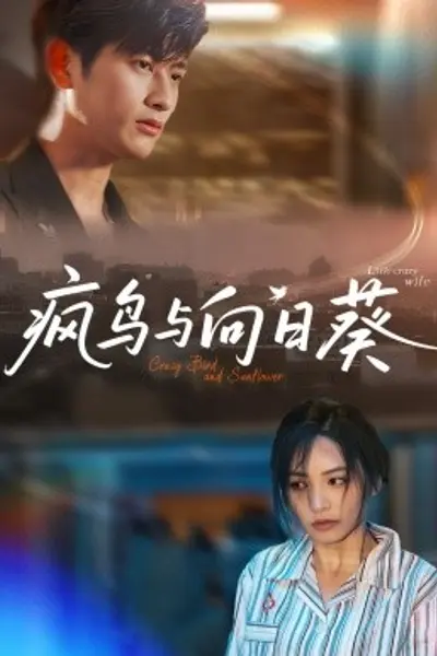 疯鸟与向日葵