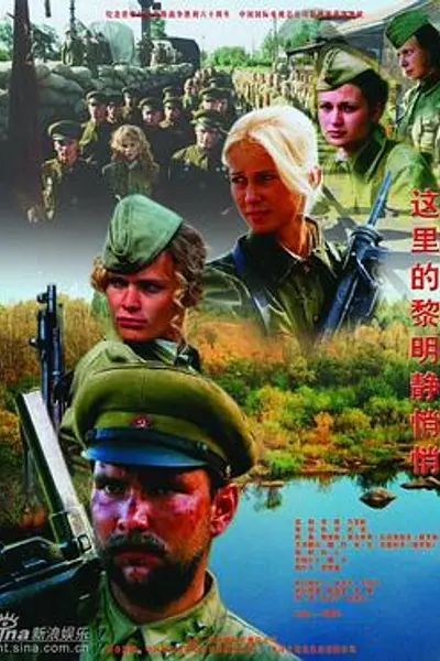 这里的黎明静悄悄2005