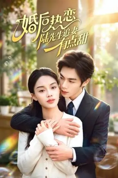 婚后热恋陆先生追妻有点甜
