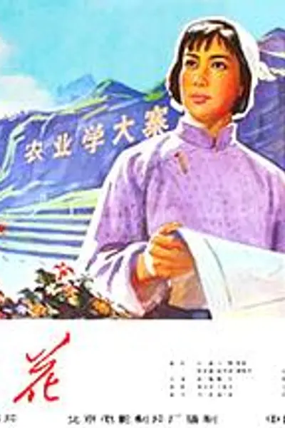 山花