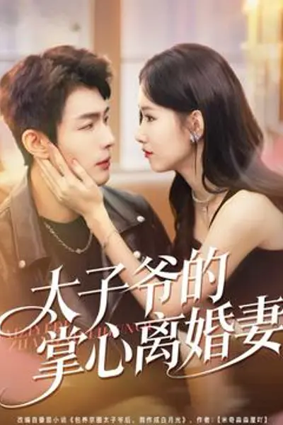 太子爷的掌心离婚妻