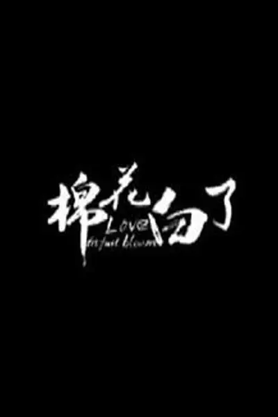 棉花白了