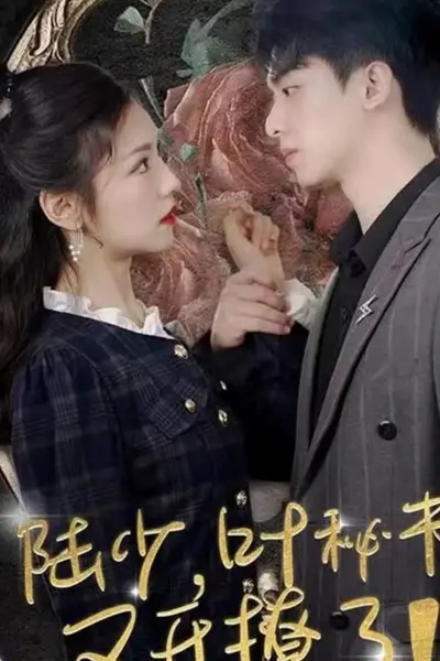 陆少叶秘书又开撩了