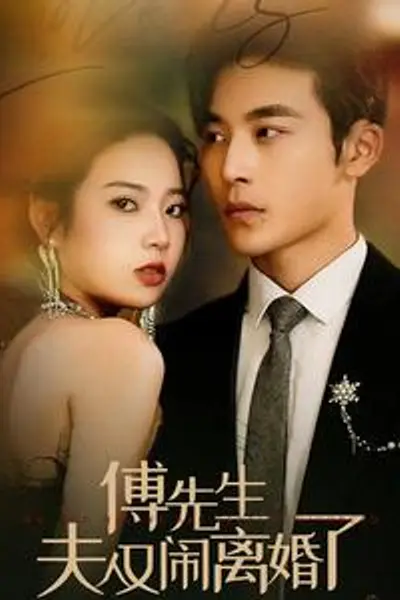 傅先生夫人又闹离婚了