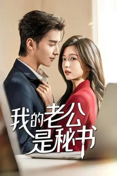 我的老公是秘书
