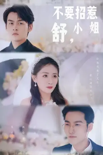 不要招惹舒小姐