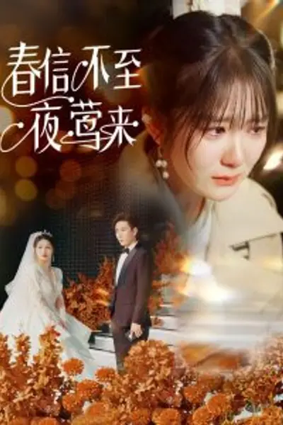 春信不至夜莺来