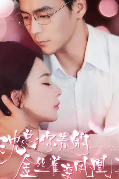 沈总你养的金丝雀变凤凰了
