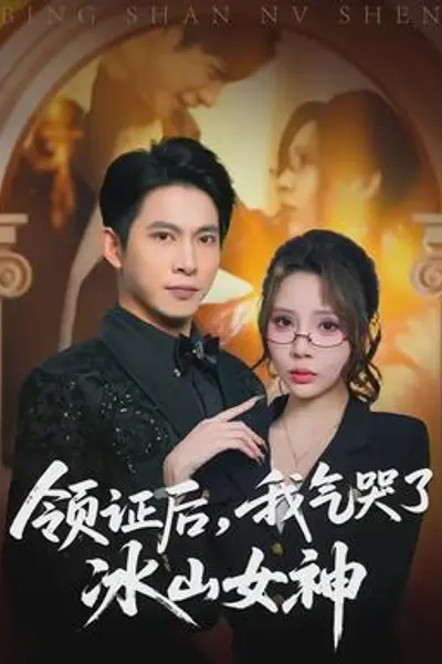 领证后，我气哭了冰山女神