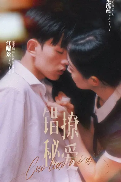 错撩秘爱