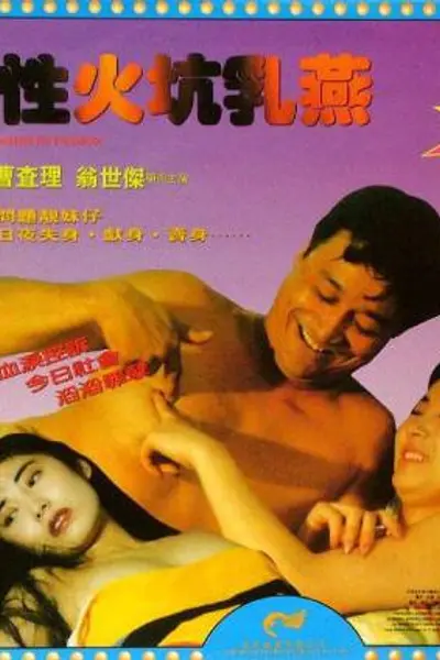 性火坑乳燕