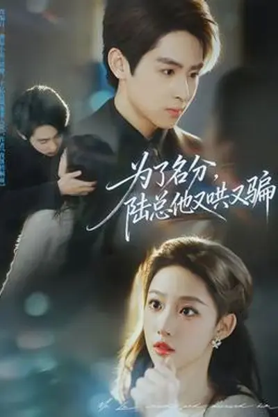 为了名分，陆总他又哄又骗